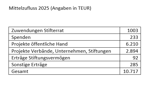 Tabelle zum Mittelzufluss 2025 der Stiftung Lesen in TEUR: Gesamt 10.717, davon 6.210 aus Projekten der öffentlichen Hand, 2.894 aus Projekten mit Verbänden, Unternehmen und Stiftungen, 1.003 aus Zuwendungen des Stifterrats, 285 aus sonstigen Erträgen, 233 aus Spenden und 92 aus Erträgen des Stiftungsvermögens.