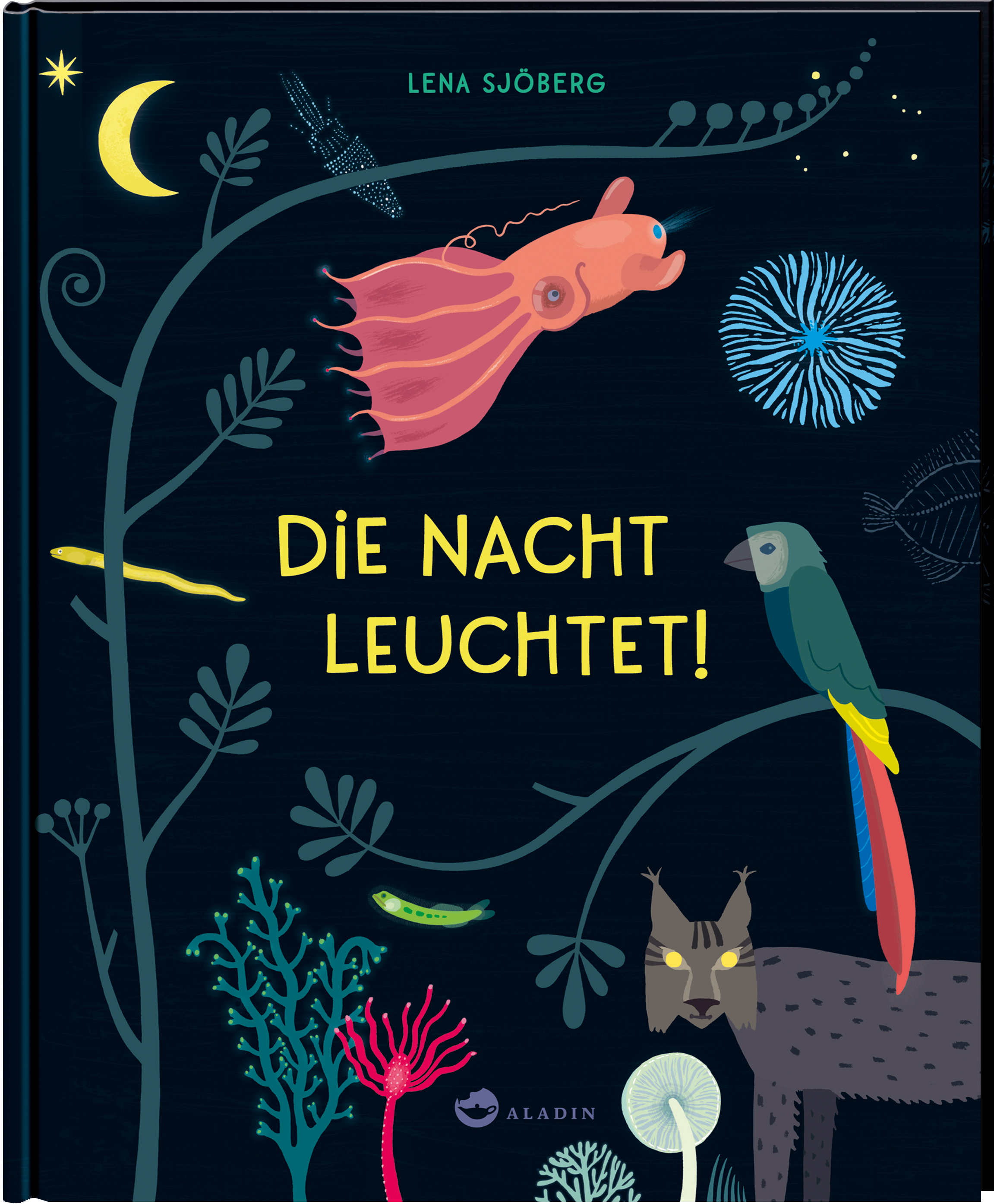 Buchcover "Die Nacht leuchtet", Aladin