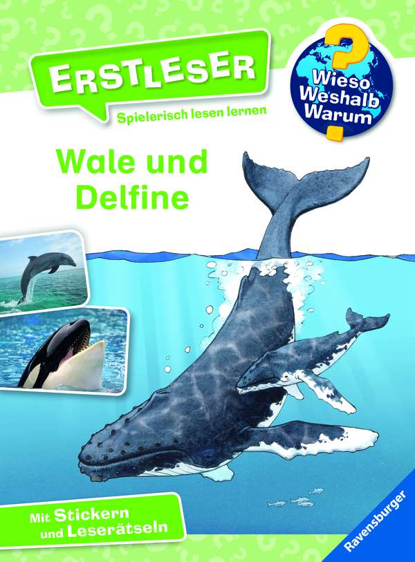 Buchcover "Wale und Delfine", Ravensburger (Wieso? Weshalb? Warum? Erstleser)