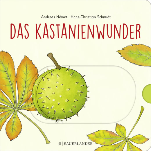 Buchcover "Das Kastanienwunder", Fischer Sauerländer