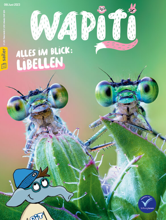 Cover "Wapiti", Sailer 