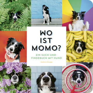 Buchcover "Wo ist Momo?", Fischer Sauerländer