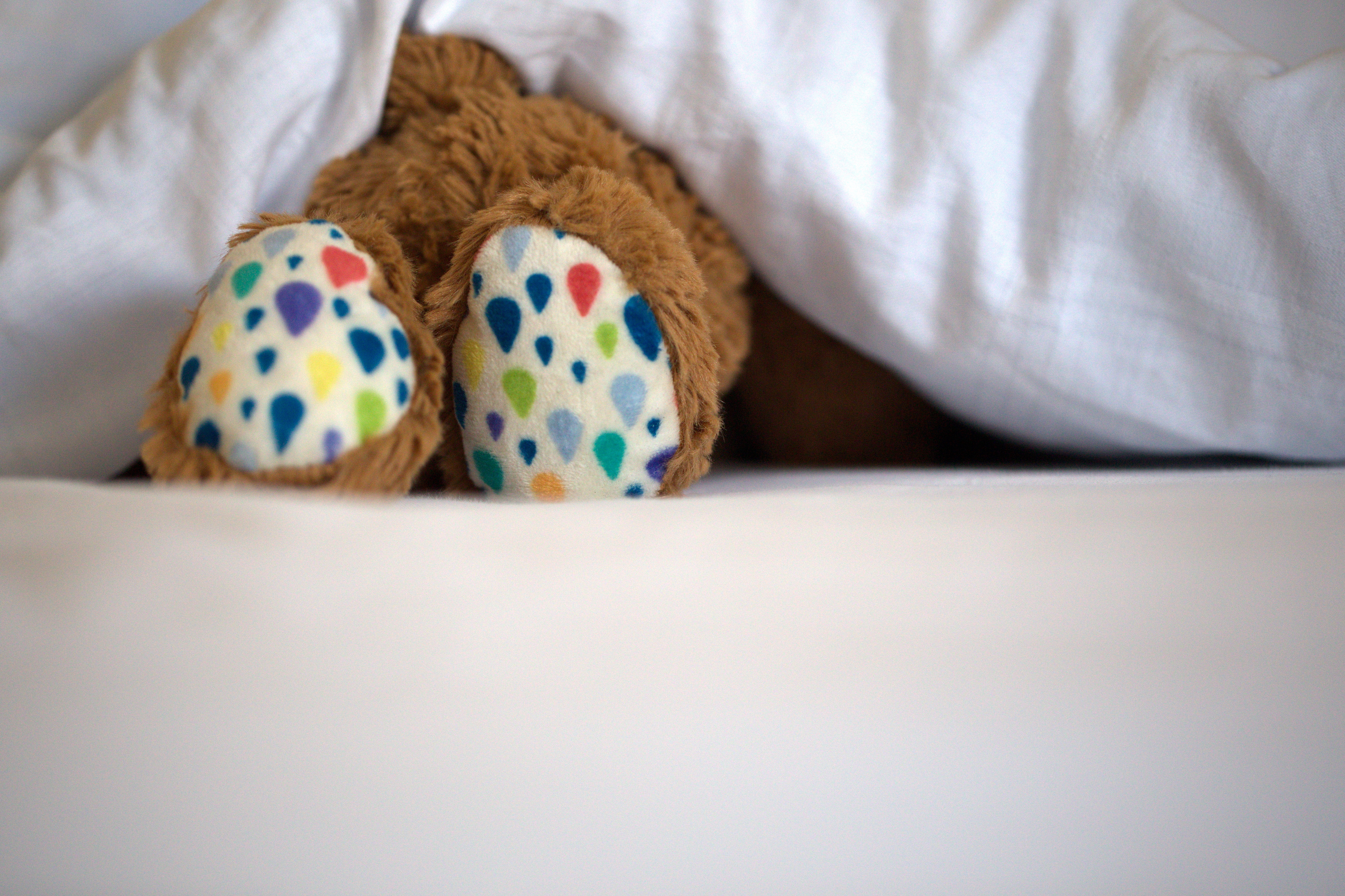 Aktionsidee "Stofftiere verstecken"