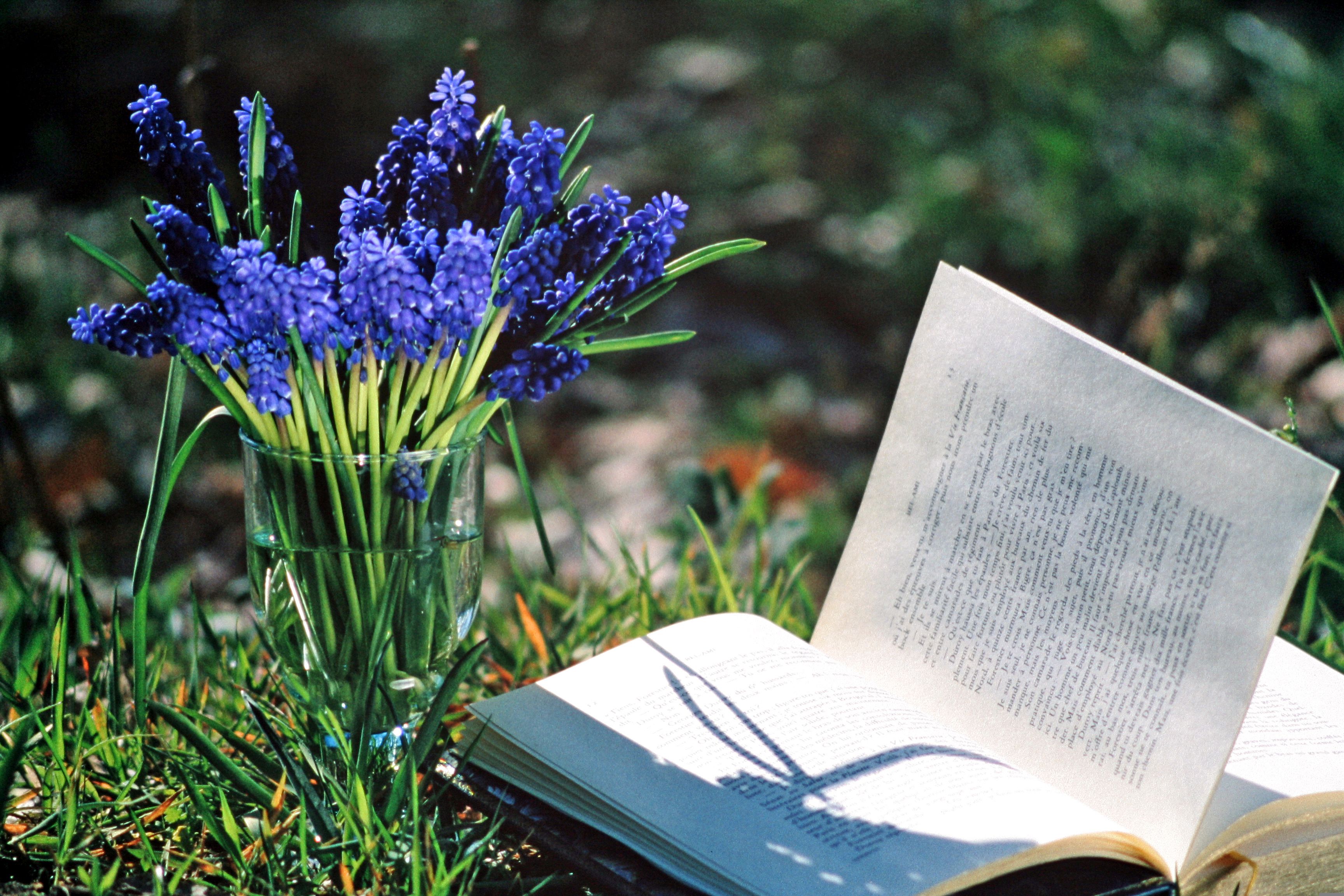 Ein Buch liegt aufgeschlagen neben einem Glas in dem Lavendel steht auf einer Wiese