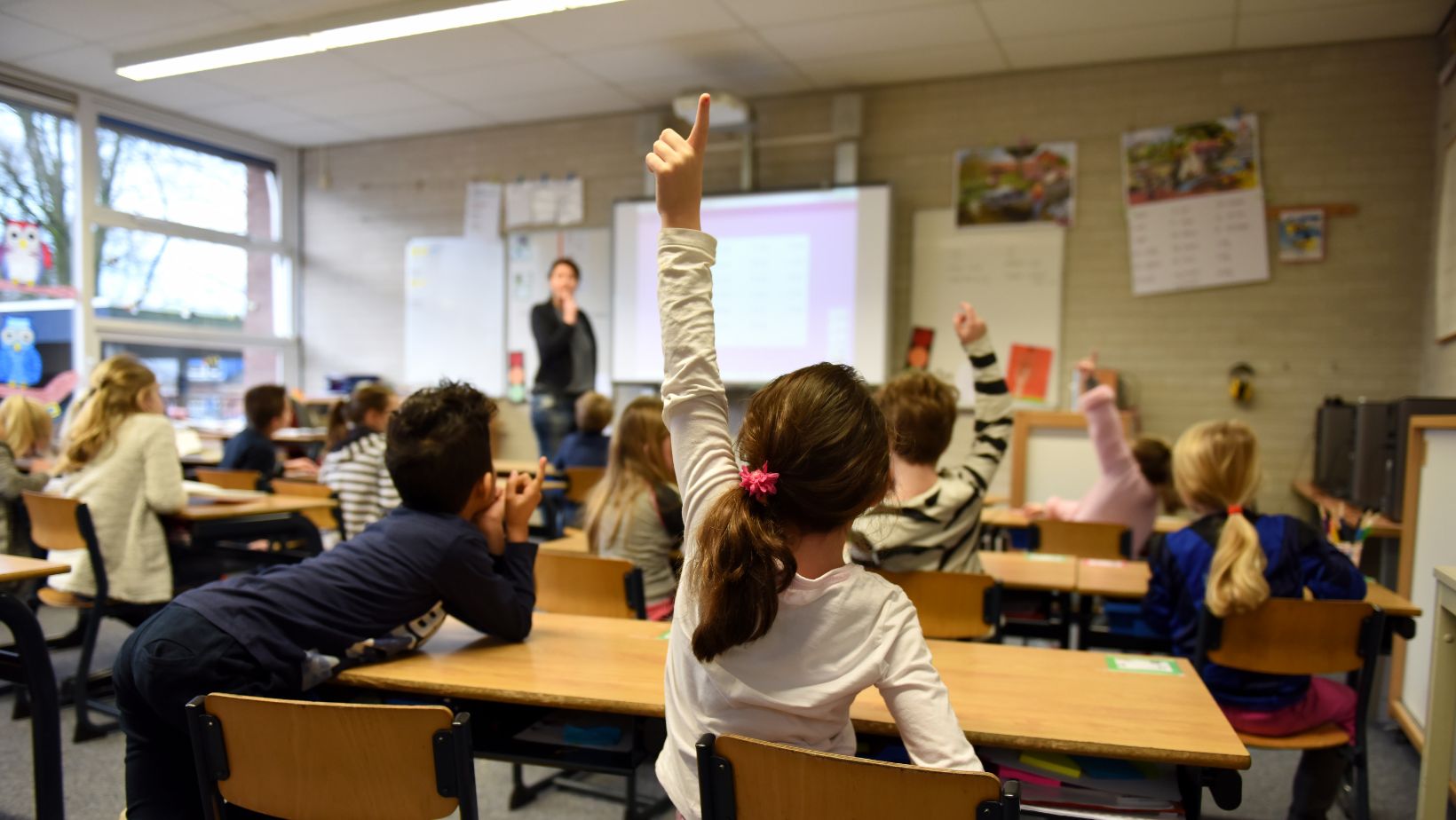 In einer Schulklasse sitzen mehrere Jungen und Mädchen. An der Tafel steht eine Lehrkraft. Das mittig abgebildete Mädchen meldet sich.