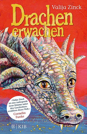 Buchcover "Drachenerwachen"