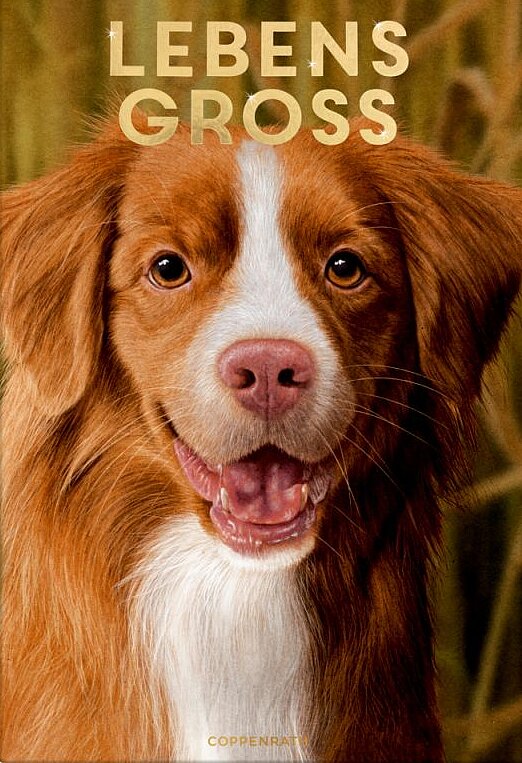 Buchcover "Lebensgross", Coppenrath 