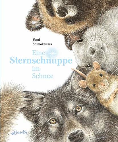 Buchcover "Eine Sternschnuppe im Schnee"