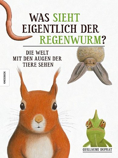 Cover, was sieht eigentlich der Regenwurm, Knesebeck