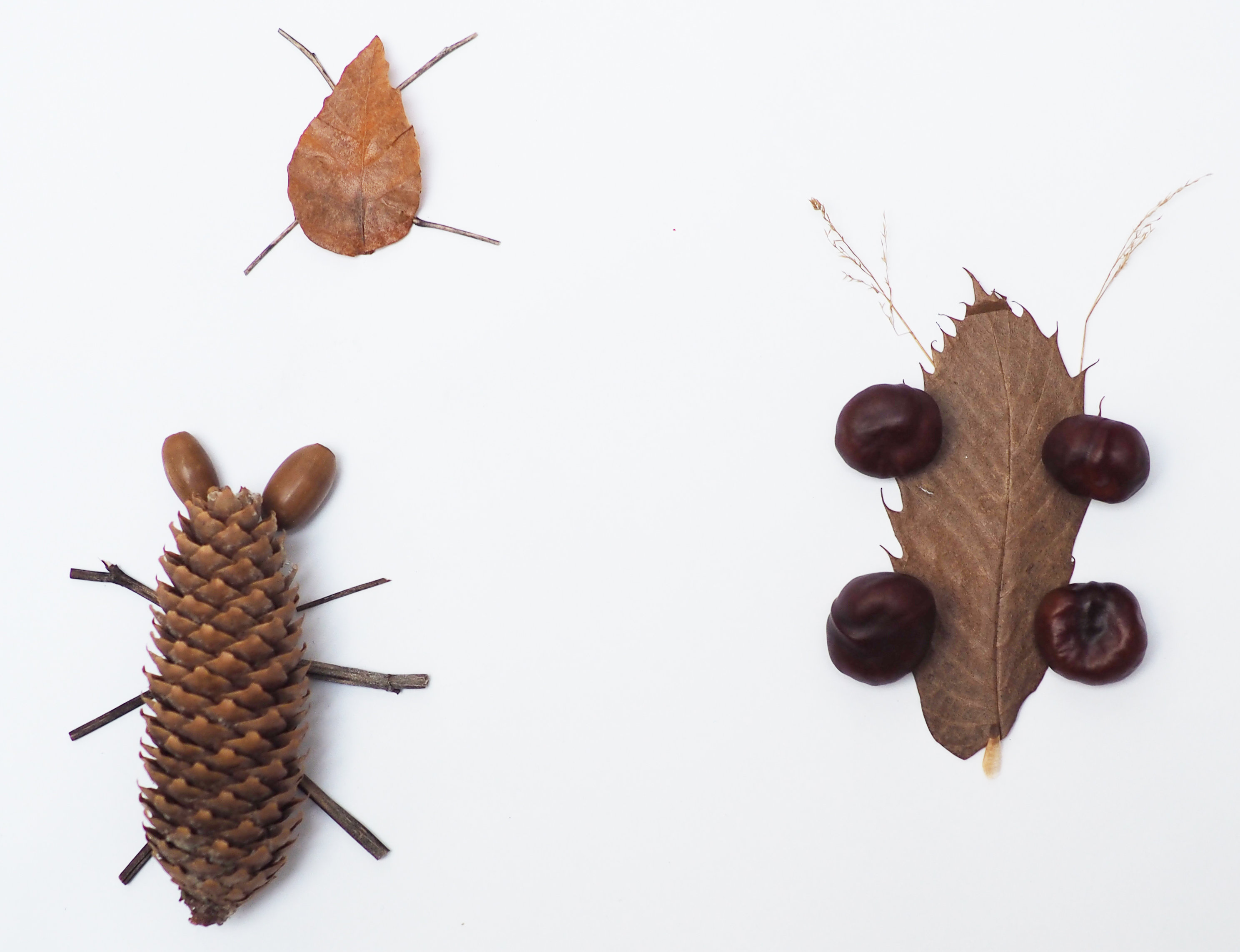 Aktionsidee "Insekten aus Naturmaterialien"