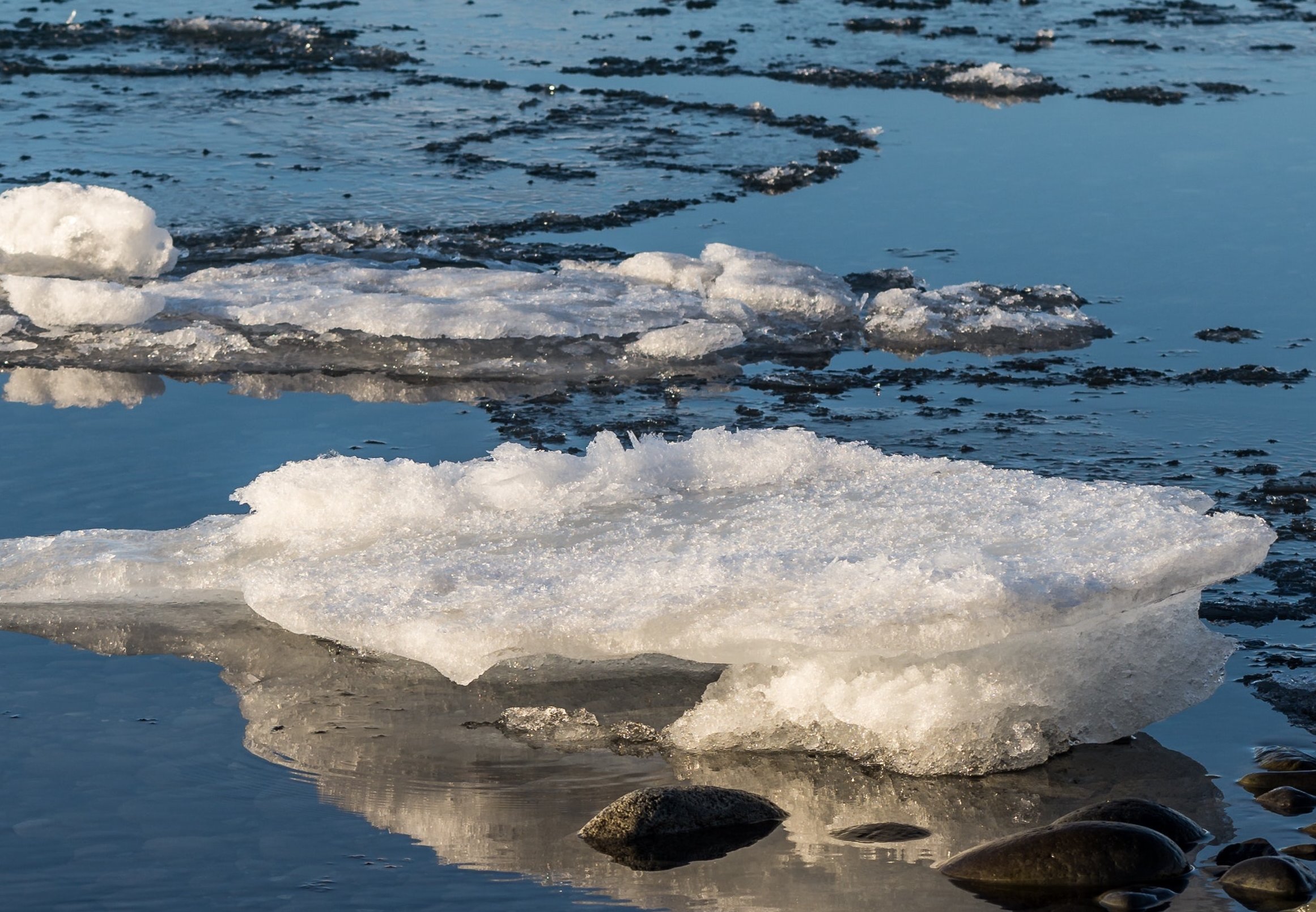 Aktionsidee „Eisschollenlauf"