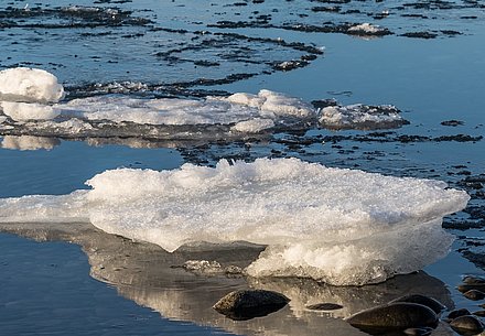 Aktionsidee „Eisschollenlauf"