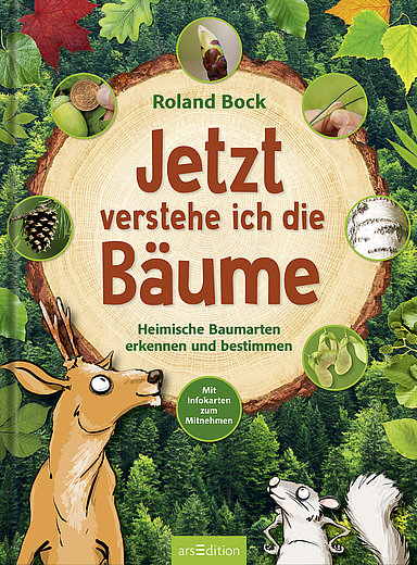 Buchcover "Jetzt verstehe ich die Bäume", arsEdition