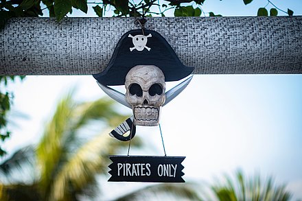 Aktionsidee „Piratenprüfung"