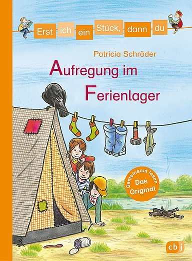 Buchcover "Aufregung im Ferienlager"