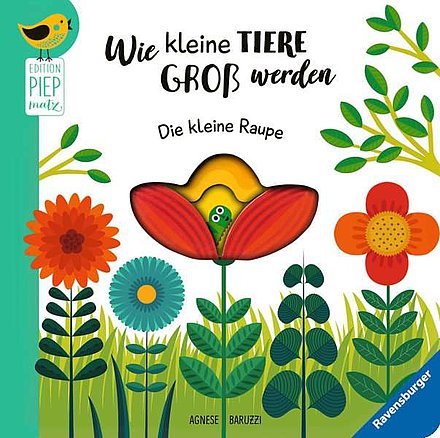 Buchcover "Wie kleine Tiere groß werden. Die kleine Raupe"