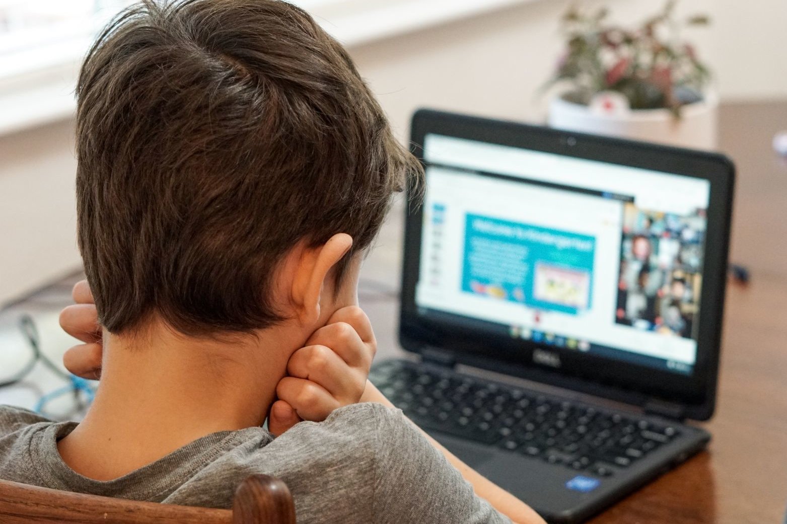 Ein Junge, von hinten zu sehen, schaut in den Bildschirm eines Laptops