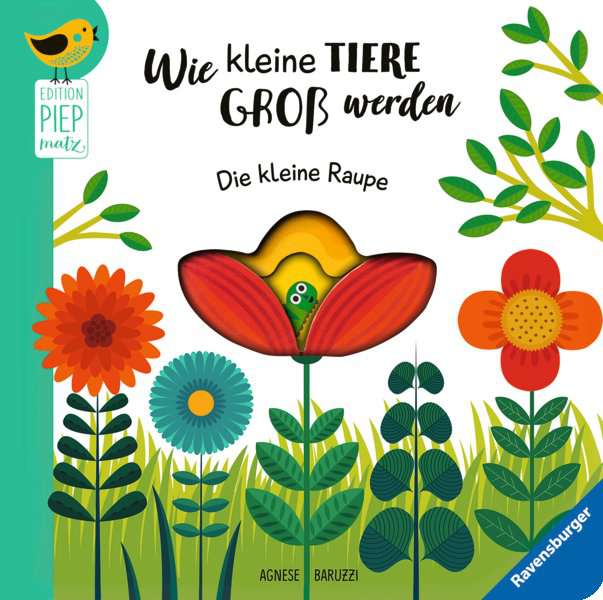 Buchcover "Wie kleine Tiere groß werden. Die kleine Raupe"